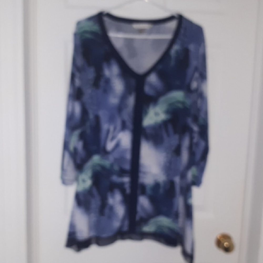 Women's Blue Tunic Top